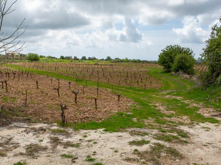 Image No.4-Land for sale