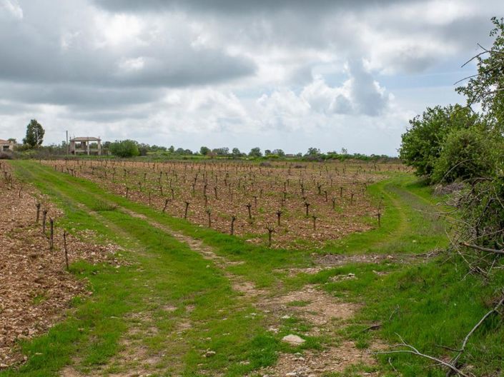 Image No.5-Land for sale