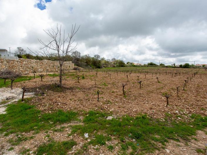 Image No.6-Land for sale