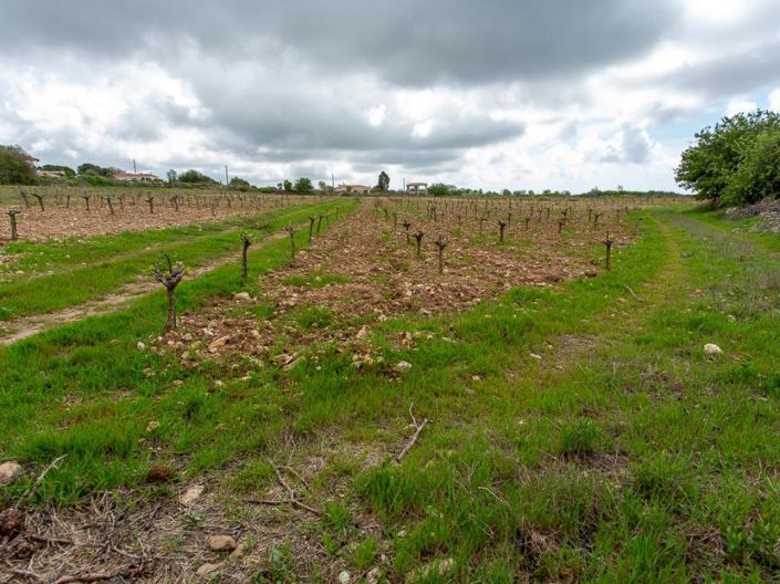 Image No.7-Land for sale