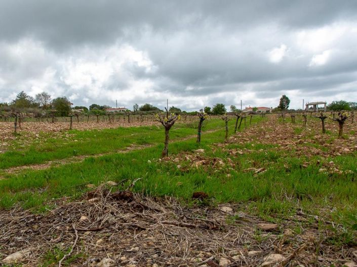 Image No.8-Land for sale