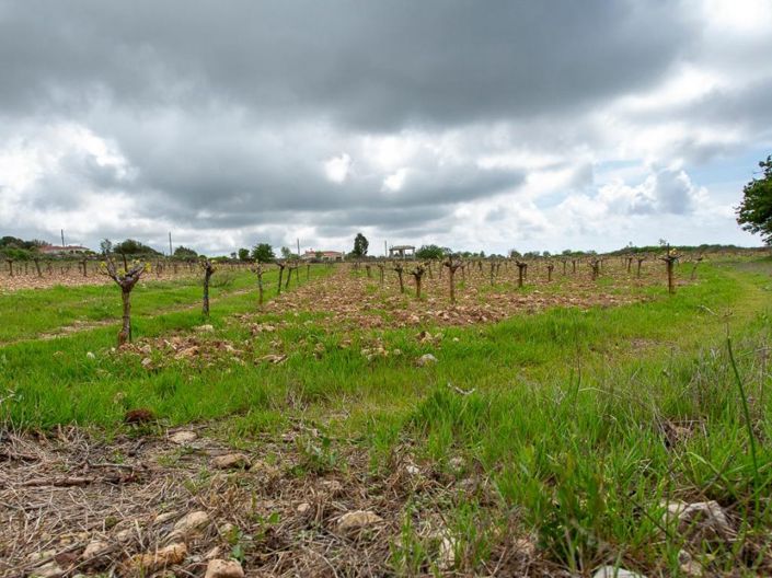 Image No.9-Land for sale