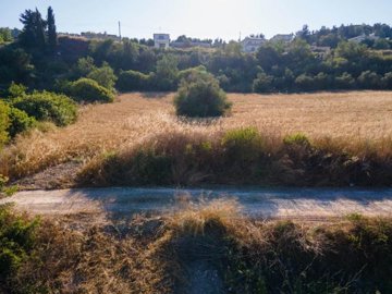 Field -Theletra, Paphos