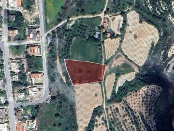 Field -Theletra, Paphos