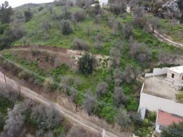 Field - Episkopi, Paphos