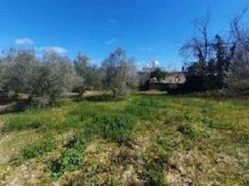 Field - Koili, Paphos