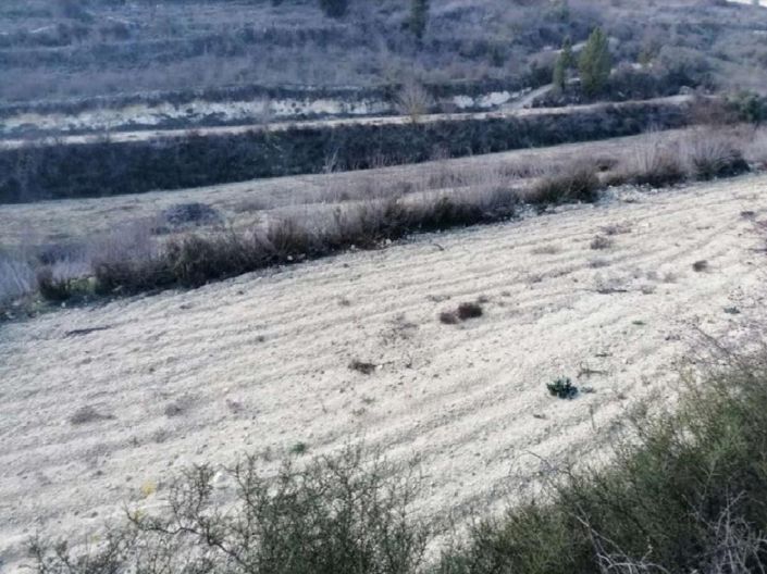 Image No.3-Land for sale