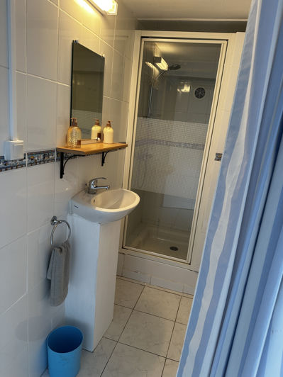 Image No.11-Maison de 4 chambres à vendre à Caubon-Saint-Sauveur