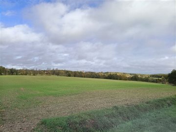 1446579373