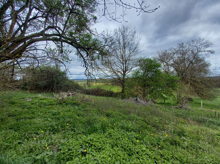 Image No.23-3 Bed House for sale