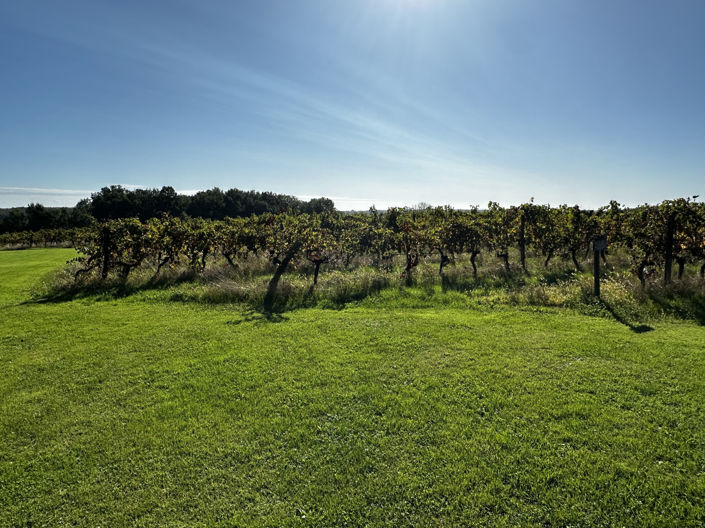 Image No.28-5 Bed House for sale