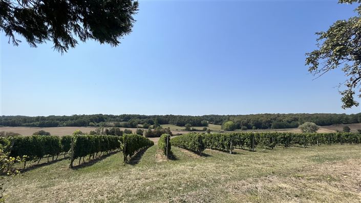 Image No.25-4 Bed House for sale