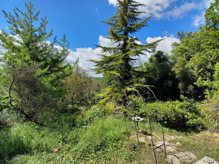 Image No.6-5 Bed House for sale