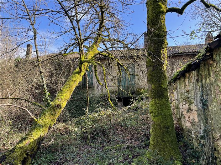 Image No.3-Ferme à vendre à Lunas