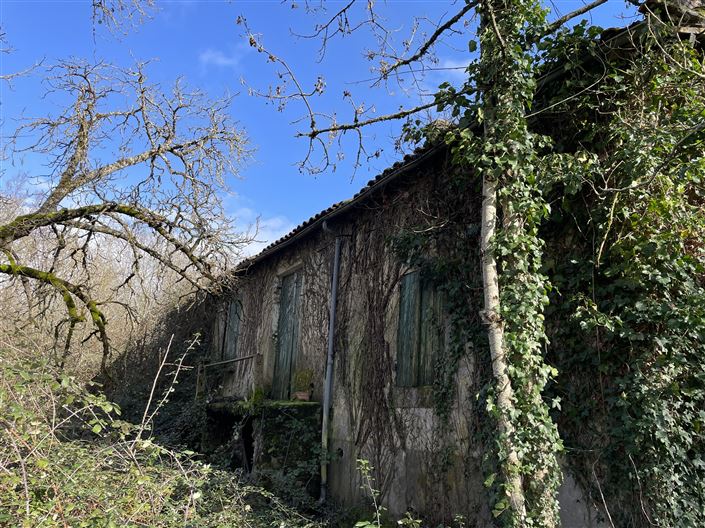 Image No.5-Ferme à vendre à Lunas