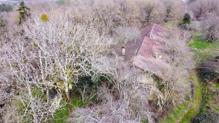 Image No.7-Ferme à vendre à Lunas