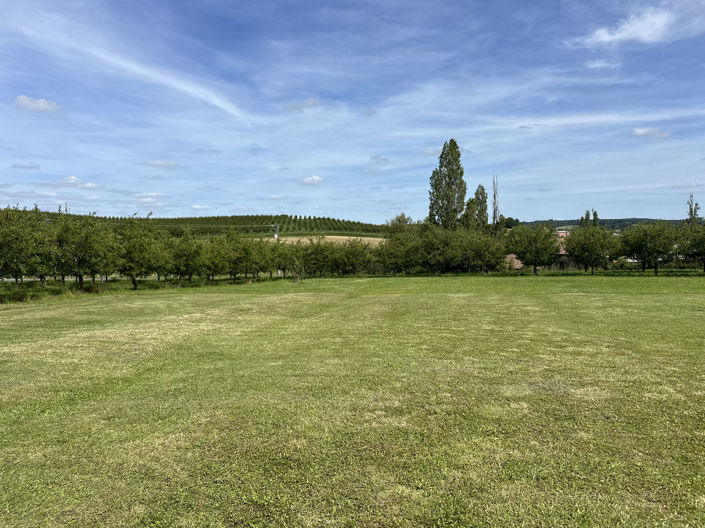 Image No.3-1 Bed House for sale