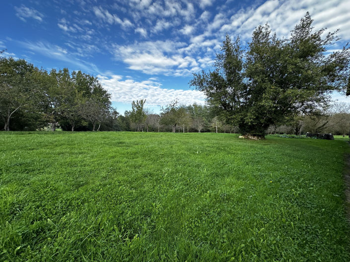 Image No.24-5 Bed House for sale