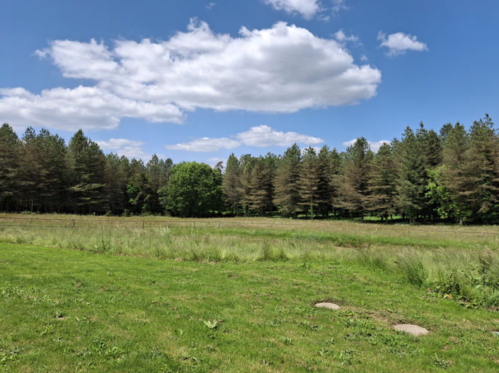 Image No.23-4 Bed House for sale