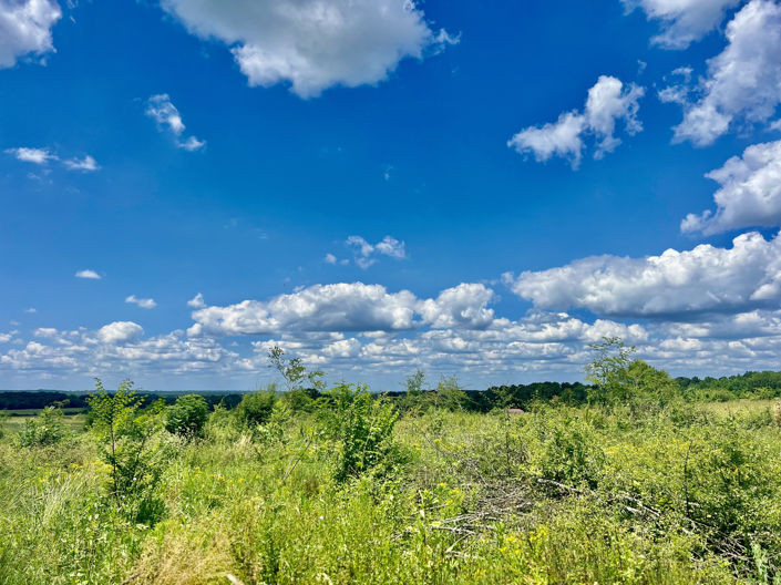 Image No.3-Land for sale