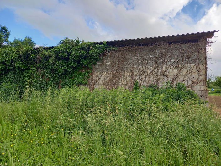 Image No.4-Land for sale