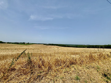1635592007