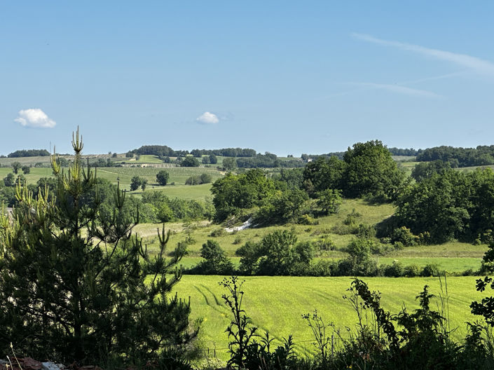 Image No.28-4 Bed House for sale