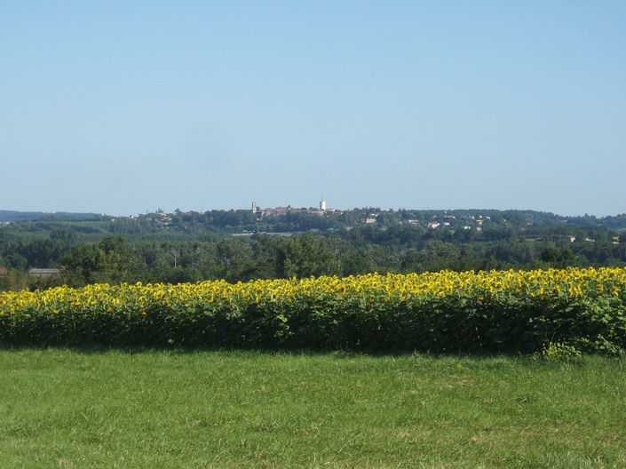 Image No.5-Maison de 6 chambres à vendre à Saint-Quentin-du-Dropt
