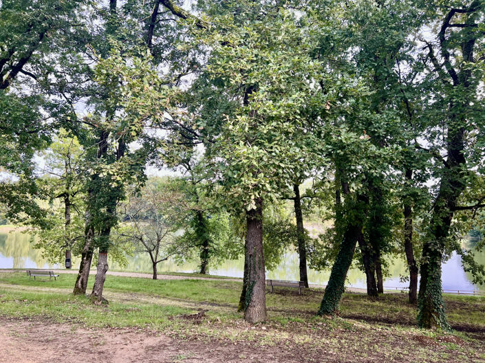 Image No.8-1 Bed Apartment for sale