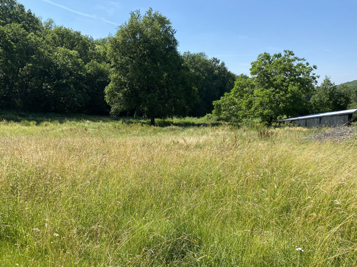 Image No.2-Terre à vendre à Berbiguières