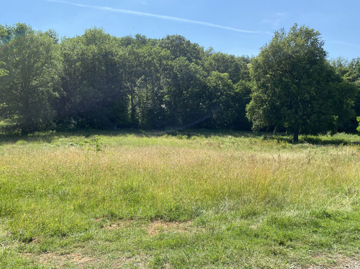 Image No.3-Terre à vendre à Berbiguières