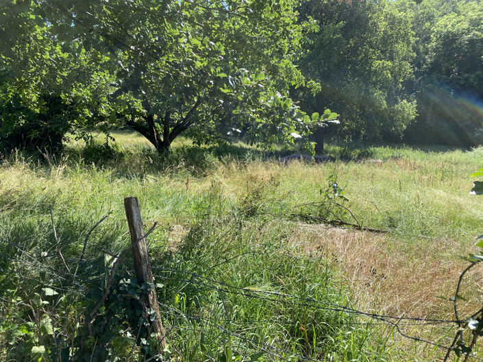 Image No.6-Terre à vendre à Berbiguières