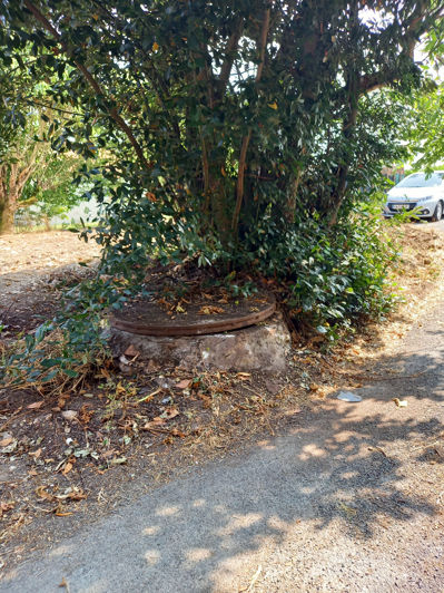 Image No.2-House for sale