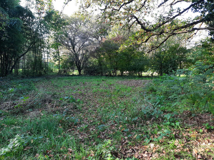 Image No.17-Propriété à vendre à Eymet