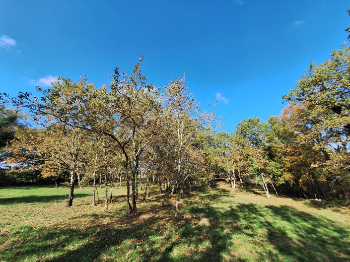 Image No.17-10 Bed Property for sale