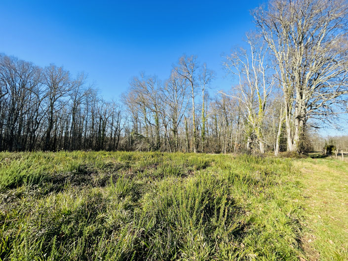 Image No.12-3 Bed House for sale