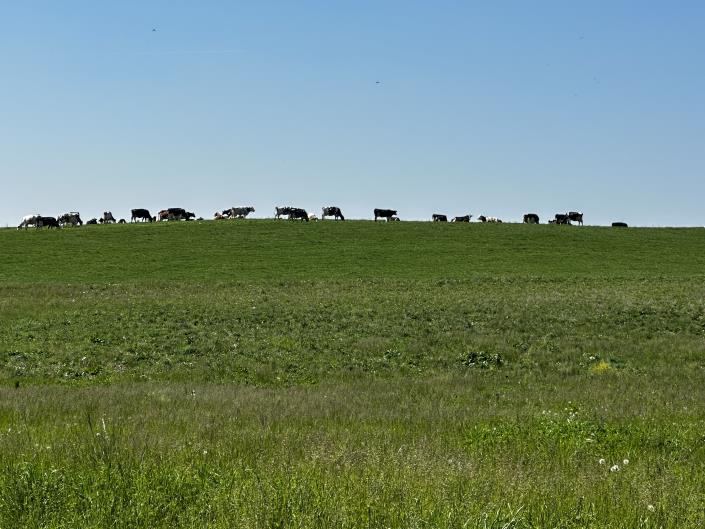 Image No.2-4 Bed Country House for sale