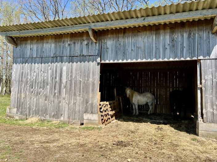 Image No.21-3 Bed Property for sale