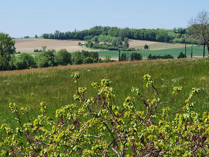 Image No.2-Propriété de pays de 3 chambres à vendre à Eymet
