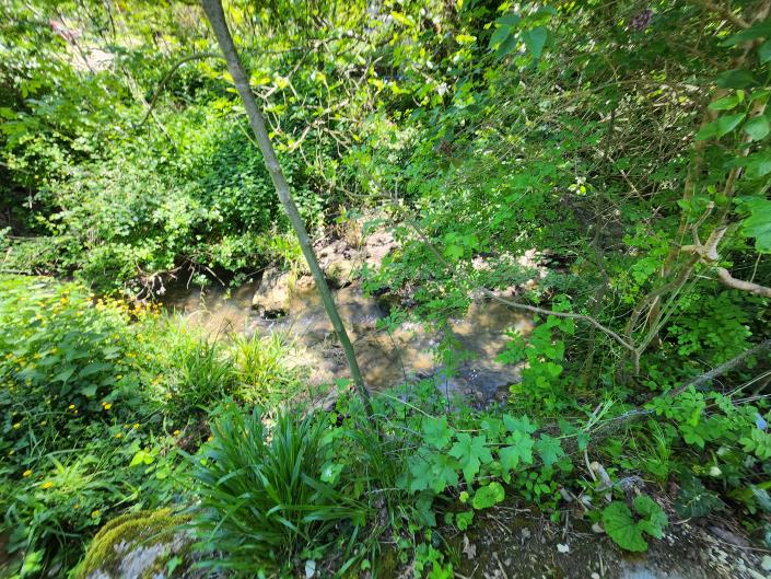 Image No.38-Propriété de pays de 3 chambres à vendre à Eymet