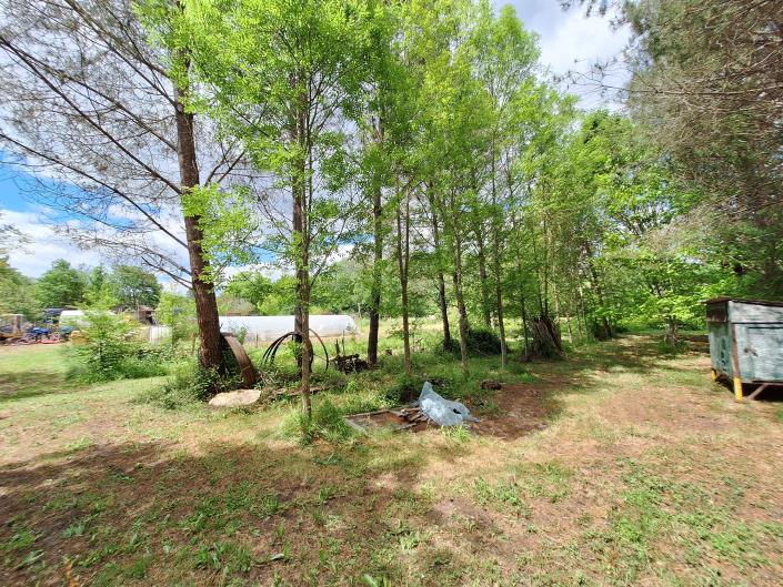 Image No.41-3 Bed Country House for sale