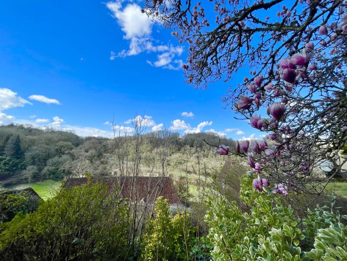 Image No.33-4 Bed Chateaux for sale