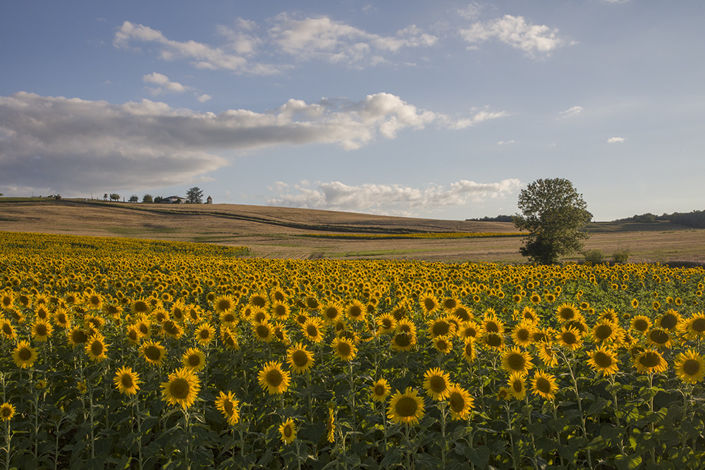 Image No.16-4 Bed House for sale