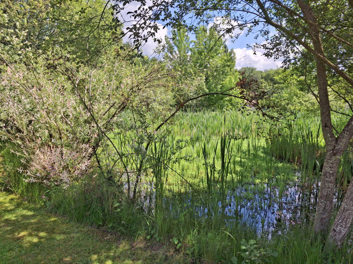 Image No.24-5 Bed House for sale