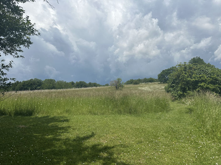 Image No.7-House for sale