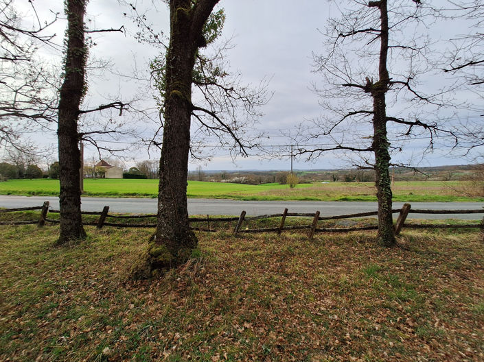 Image No.20-4 Bed House for sale