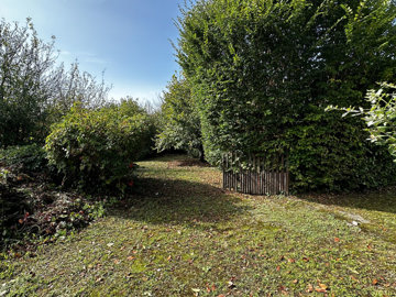 16458090314