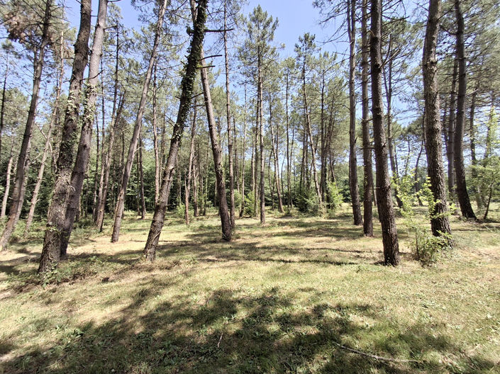 Image No.10-1 Bed House for sale