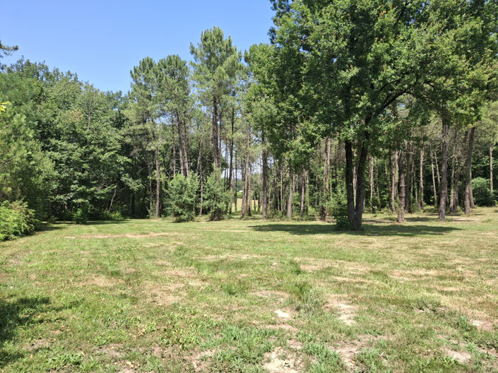 Image No.3-1 Bed House for sale