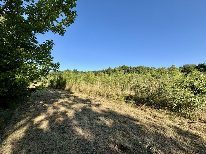 Image No.11-3 Bed House for sale